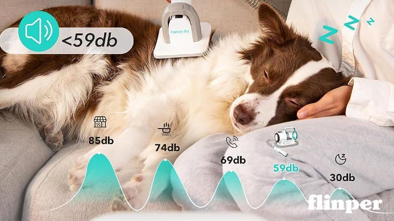 Famree Pet Hundeschermaschine mit Tierhaar Staubsauger