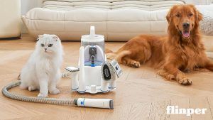 Read more about the article Neakasa P2 Pro Test » Hundeschermaschine mit Staubsauger