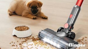 Read more about the article JIGOO C500: Unbegrenzte Freiheit für ein makelloses Zuhause